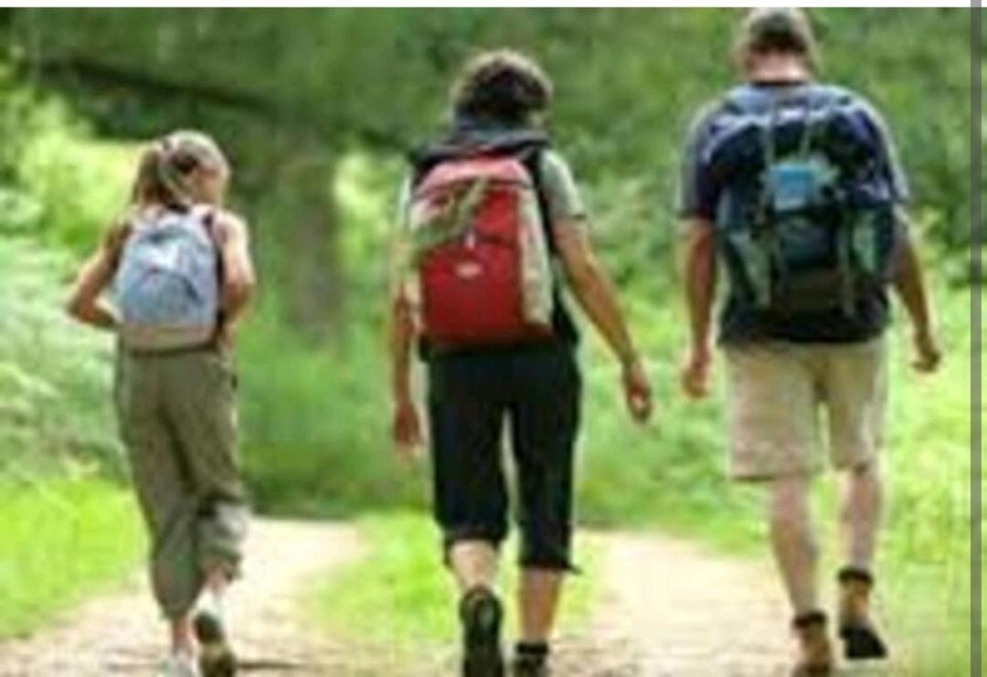 Les Chambres Touristique Julea Dienville Dış mekan fotoğraf